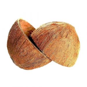Sri Care® Bol en noix de coco naturelle avec moitiés de coquille de noix de coco pour artisanat ou animal de compagnie, bougie et décorations de Noël et d'Halloween (2 avec fibre) (Lakpura (UK), neuf)