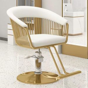 PA-DABAOO Fauteuil De Coiffure Réglable, Pivotant À 360 Degrés Et Pompe Hydraulique, Fauteuil De Barbier De Style Classique Avec Pédale,Blanc (Panda-Dabaoo, neuf)