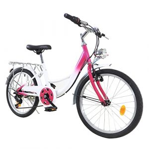 JINPRDAMZ Vélo pour enfant 20 pouces pour fille, 6 vitesses, rose, vélo avec lumière, pour la ville, la plage, la piste cyclable et tous les types de routes (RynnZzzz, neuf)