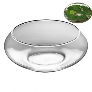 Aquarium en Verre - Pot Bas - Bol en Verre Transparent, Large et Rond pour Décoration Florale d'Intérieur, Pièce Maîtresse, Mariage, Maison et Événements (chanhe, neuf)