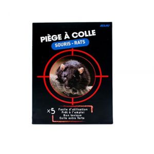 Piège à Rats et Souris Collant sans Poison - Plaque Glue Ultra Forte pour Maison & extérieur - Piège Anti rongeurs, cafards, Insectes - Produit Anti Souris et Anti Rats Efficace - Lot de 5 ou de 10 (BAIE SHOP, neuf)