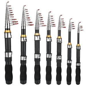 Cocoarm Canne &agrave; P&ecirc;che T&eacute;lescopique Portable 2,1 m pour Eau Sal&eacute;e, Casting et Surf (Wizerry369, neuf)