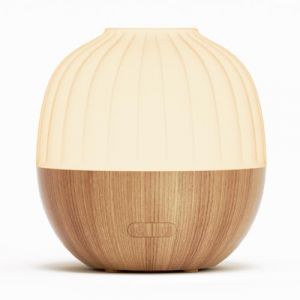 SALKING Diffuseur d'ar&ocirc;mes, diffuseur d'huiles essentielles de 300 ml, diffuseur d'aromath&eacute;rapie &agrave; ultrasons avec fonction d'arr&ecirc;t automatique, diffuseur de fibres de bois blanches pour la maison, le (SalkingDirect, neuf)