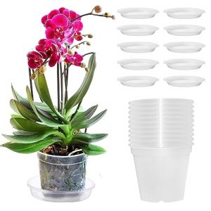 Pizsieat 10 Pièces Pot Transparent Orchidée 11,5cm avec Trous De Drainage Et Soucoupes pour Plante, Jardin, Balcon, Extérieur (JIEYIKJ, neuf)