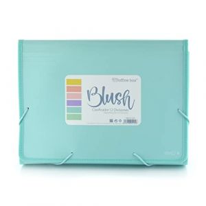Office Box Classeur avec 12 compartiments avec visières panoramiques + 80 adhésifs et fermeture à élastiques et côtés renforcés - Couleurs Blush pastel - Résistance et qualité by Office Box (Blush) (MISTER PAPER PAPELERIA, S.L., neuf)