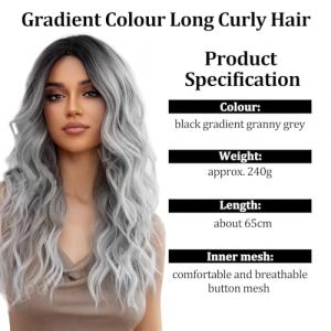 QJFHURB Perruque Halloween Femme Perruque Grise pour Les Femmes Perruque Longue Ondul&eacute;S Boucl&eacute;E Grise Perruques Longues Grises Ombr&eacute;Es pour Femmes Perruque Grise Femme (SARAH JAYNE LIMITED, neuf)