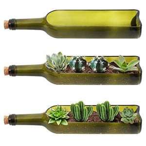 BELLE VOUS Lot de 3 Pot Plantes Succulentes Bouteille de Vin en Verre - Pot de Fleur Original de L32 x l7,1 cm - Ouverture Découpée Ovale - pour Plantes, Fleurs, Cactus, Bambou, Jardin, Terrarium (Tinyyo Europe, neuf)