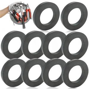 Lot de 10 aimants en ferrite - Diamètre : 45 mm x 22 mm x 8 mm - Avec trou - Anneau magnétique résistant - Avec trou - Pour l'industrie, le bricolage, les projets scientifiques (RAMONISA SHOP, neuf)