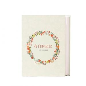 Hixingo Album Photo 10x15 100 Pochette, Grand Taille Album Photo Bebe Comm&eacute;moratif Album Photo Pochette, Album Photo Traditionne pour Famille/Mariage/Voyage/B&eacute;b&eacute; (5&rsquo;&rsquo;,Guirlande) (Hixin, neuf)