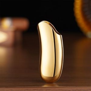 Miaoyak Coque en m&eacute;tal durable finition chrom&eacute;e pour petit Bic J5 J25, fabriqu&eacute;e en alliage de zinc, briquet non inclus. (NAIXUE-FR, neuf)