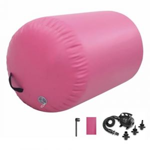 MEKETUM Air Roller Gym Tapis de Gymnastique Rythmique Gonflable 60 75 90 CM Cylindre &agrave; air gymnastique Roll avec pompe pour la formation de rebond des mains/maison/yoga/Fitness (Aostrill, neuf)
