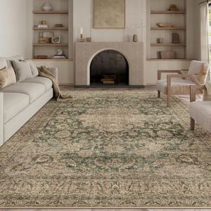 HUGEAR Vert Vintage Tapis Salon 200x300cm Lavable en Machine Antidérapant Grand Carpet Descente de Lit Chambre Adulte Salle a Manger Cuisine Bureau Doux Poil Ras Carpette (RONGBEN, neuf)
