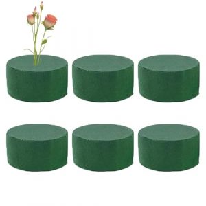 Bloc De Mousse Florale, Blocs De Mousse Florale Verte, 6 Pi&egrave;ces Mousse De Fleur Ronde, Floral Mousse Brique , Mousse De Bouquet, Arrangement Floral pour Mariages Et Magasins (huaqklm, neuf)