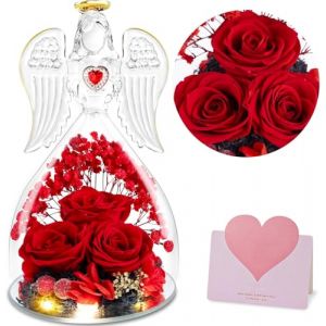 Cadeaux pour maman, Rose Infinity sous la forme d'un ange, Rose &eacute;ternelle sous une coupole en verre d'ange avec une lumi&egrave;re LED, Cadeaux de No&euml;l pour amie, grand-m&egrave;re m&egrave;re &eacute;pouse anniversaire, Rouge 3 (SIA 33 RUSLANS, neuf)