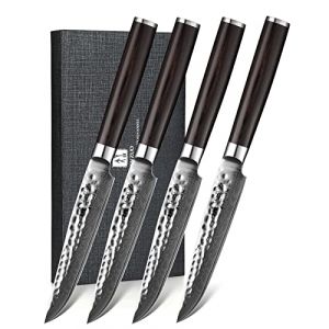 XINZUO Set de 4 Couteaux à Steak, 12.4cm Couteaux de Table 67 Couches Acier Damas de Professionnel Lot de 4 Couteau de Cuisine, Coffret Cadeau Exquis, Pakkawood Poignée Ergonomique - He Série (XIN ZUO, neuf)