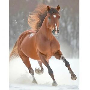 DCIDBEI Diamond Painting Paysage d'Hiver 40x50cm - Chevaux Dans la Neige - Pierres Carrées Animaux - Peinture par Numéro - Broderie Diamant Cheval (BEIMIN, neuf)