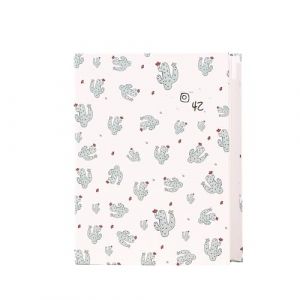 Hixingo Album Photo 10x15 100 Pochette, Grand Taille Album Photo Bebe Comm&eacute;moratif Album Photo Pochette, Album Photo Traditionne pour Famille/Mariage/Voyage/B&eacute;b&eacute; (5&rsquo;&rsquo;,Cactus) (Hixin, neuf)