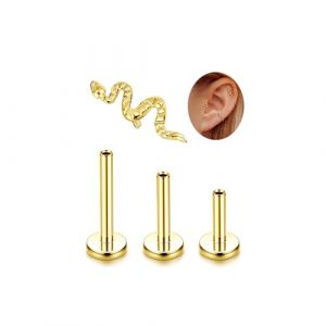 Adramata G23 Titane Piercing Helix Tragus Hypoallergénique Labret Levre Filetage Interne Monroe Medusa Petit CZ Oreille Conch Or Argent (jjccui, neuf)