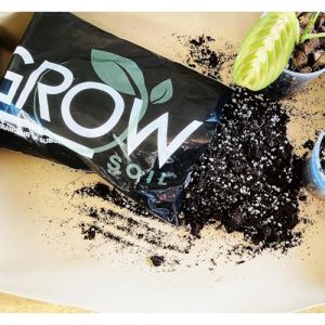 Grow Soil, Mix pour aroides, terreau sans Tourbe pour Plantes d'intérieur Type Monstera, calatea et Autres aroides. Drainant et Parfait en Croissance de Racines. Sac de 4L Facile a Ranger (Grow-Win, neuf)