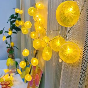 Riaxuebiy Guirlande Lumineuse Jaune Citron 3M 20LED LED Lumi&egrave;res F&eacute;&eacute;riques D&eacute;corative Int&eacute;rieure et Ext&eacute;rieure USB Aliment&eacute; Fairy Lights Blanc Chaud (3M/20LED, Jaune Citron) (Riaxuebiy, neuf)