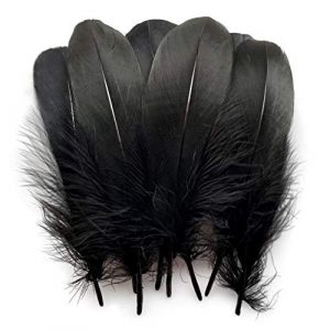 Suneast Lot de 100 Plumes d'oie pour Loisirs Créatifs, Attrape-Rêves, Boucles d'oreilles, Mariage, Festival, Décoration de Fête Prénatale - Noir, 15-20cm (LiXunWei, neuf)