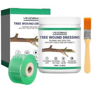 exatta Mastic &agrave; Cicatriser pour Arbres, P&acirc;te &agrave; Greffer pour Jardin, Arbres d'Ornement, Bonsa&iuml; &ndash; Favorise la Cicatrisation, Forme Un Film Protecteur Rapide &ndash; 100 g avec Ruban de Greffage (2cm) (MEILINLIN LTD, neuf)