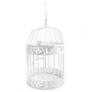 Cage &agrave; oiseaux d&eacute;corative en fer blanc pour mariage, &eacute;v&eacute;nements, d&eacute;coration d'int&eacute;rieur &agrave; suspendre avec crochet (35 x 19 cm) (Wuyangcun, neuf)