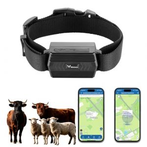 TKMARS Traceur GPS 4G pour Grands Animaux (Chiens de Chasse, Chevaux, B&eacute;tail) | Collier GPS &Eacute;tanche IP66 | Suivi en Temps R&eacute;el et Historique | Autonomie 30 Jours | Alerte Geo-Cl&ocirc;ture TK935 (Wei Heng Electronic, neuf)