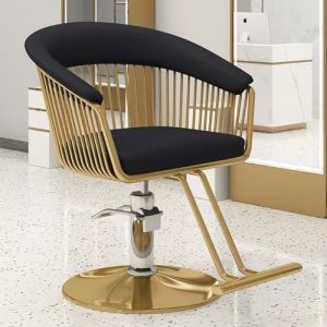 PA-DABAOO Fauteuil De Coiffure Réglable, Pivotant À 360 Degrés Et Pompe Hydraulique, Fauteuil De Barbier De Style Classique Avec Pédale,Noir (Panda-Dabaoo, neuf)