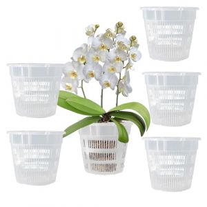 Tomalithic 5 Pi&egrave;ces Pot de Fleurs Plastique Transparent,Pot de Contr&ocirc;le des Racines de 140 Mm, Plateau Inclus, avec Trous de Drainage pour Balcon Int&eacute;rieur, Bureau, Ext&eacute;rieur (Tomalithic, neuf)