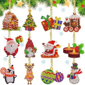 FYting 12 Pi&egrave;ces Diamond Painting Enfant,Diamond Painting Porte Cl&eacute; Lapin, Pendentif Arbre de No&euml;L, &eacute;tiquette Cadeau Peinture Diamant, Suspension de Fen&ecirc;tre (D) (WcxFLY, neuf)