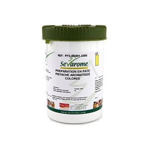 PISTACHE Pr&eacute;paration en p&acirc;te aromitis&eacute;e et color&eacute;e 1 KG (Secret des chefs, neuf)