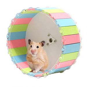 CaiYuanGJ Jouet de Roue de Hamster, Roue d'exercice pour Hamster, Roue Hamster, Hamster Exercice Roue, Roue d'exercice Silencieuse pour Hamster, pour Hamster, Hérisson, Petit Animal Domestique (15cm) (Czldfd, neuf)