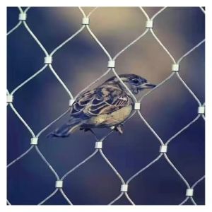 SXEVZOO Grillage Souple INOX Cable, Filet pour Nichoir, 4cm/1.5mm Acier X-type Barri&egrave;re de Protection, pour Escalier, Jardin, Ranche(0.8x8m) (HLHE Shop, neuf)