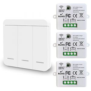 DieseRC Mini commutateur WiFi sans fil t&eacute;l&eacute;commande RF 2500W 10A 3 r&eacute;cepteurs avec 1 interrupteur mural sans fil contr&ocirc;le intelligent via l'application Tuya compatible avec Alexa/Google Home (Wenqiashs Electronics, neuf)