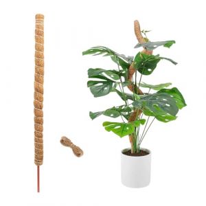 YZROHYI Tuteur Monstera Support 100 CM,Tuteur Plante Fibre Coco,Tuteur Plantes Jardin Pliable,Plant Moss Pole avec Corde Chanvre 2 M,Tuteur Sphaigne Monstera,Tuteur Plante Grimpante Interieur (Jonasvivi Kft., neuf)