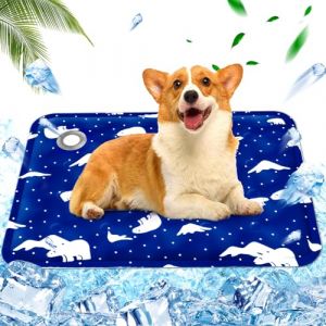 Tapis Rafraîchissant Chien,Tapis rafraîchissant pour Animaux de Compagnie Matelas, Tapis rafraichissant injection d'eau, Rester au Frais Cet Été Intérieur Extérieur, 50x60 cm,L,Ours polaire bleu royal (dongguanshihaoyangdashangmaoyouxiangongsi, neuf)