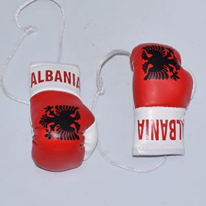Paire de mini gants de boxe de 8,9 cm à suspendre pour rétroviseur arrière de voiture (Albanie) (Brit_bargain, neuf)