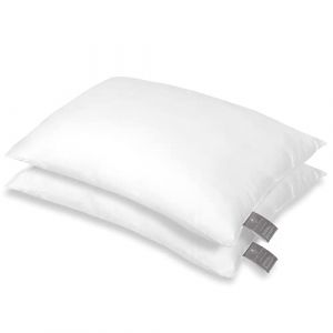 FAM Home Oreiller 50x70 Lot de 2 Anti Acarien I Coussin Rectangulaire Moelleux Microfibre Douces Hypoallergenique Entretien Facile (INTERSCALIT, neuf)