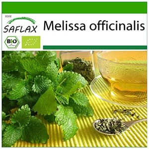 SAFLAX - BIO - M&eacute;lisse officinale - 1000 graines - Melissa officinalis (SAFLAX, neuf)