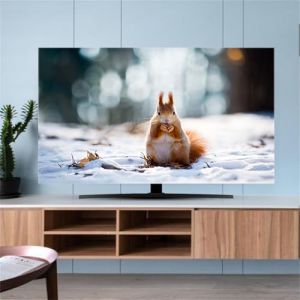 Hixingo Housse pour TV, Paysage Housse de Protection T&eacute;l&eacute;vision Housse Protection &Eacute;cran TV &Eacute;lastique Housse T&eacute;l&eacute;vision Anti Poussi&egrave;re Respirant Housse &Eacute;cran TV Lavable (45-48inch,&Eacute;cureuil) (Hixin, neuf)
