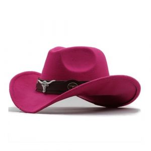 Générique Chapeau de Cowboy pour Femme et Homme Couleur Unie Bordure Chapeau à Large Bord Accessoires Costume de Cowboy pour Adultes et Femmes Western Chapeaux en Feutre (One Size) (ZFeAOPLQ, neuf)