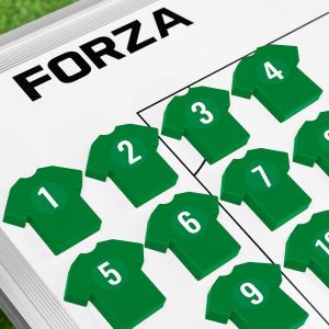 FORZA Aimants d’Entraînement en Maillot | 11 Marqueurs Magnétiques Colorés avec Autocollants Numérotés | Compatible avec Tableaux de Tactiques Idéal pour Entraîneurs de Football (Vert) (Net World France, neuf)