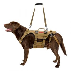 OneTigris Harnais pour chien, Invictus Aide au portage pour chiens de taille moyenne &agrave; grande, aide &agrave; la marche r&eacute;glable pour chiens avec 3 poign&eacute;es pour chiens handicap&eacute;s, bless&eacute;s ou &acirc;g&eacute;s Brun XL (1T Gear FR, neuf)