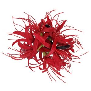 Cabilock Pince &agrave; Cheveux pour Femme Grosse Taille, Pince &agrave; Griffes Rouge Motif Fleur, Accessoire Coiffure Solide en Tissu et Plastique, pour Cheveux Longs et &Eacute;pais, Usage Quotidien (Thomas Zack Yang, neuf)