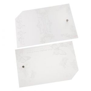 Hohopeti Lot de 2 Pr&eacute;sentoirs &agrave; Ongles pour Nail Art Finition Mate en Acrylique 15x21 Cm, Grand Format sans Capsules, Support Pratique pour Salon de Manucure et Affichage D&rsquo;&eacute;chantillons (Ingrid GL, neuf)