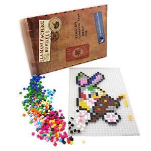 La Manufacture du Pixel - Pack 1 Grille et 900 pixels à insérer (Translucide) - Pixel Art, Loisir Créatif, Mosaïque, Fun ! - Créez à l'infini tout l'art qui vous ressemble (La Manufacture du Pixel, neuf)