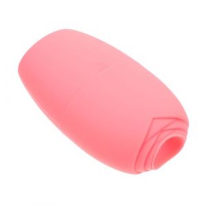 Bac à glaçons Rose Face masseurs oculaires rouleau de du visage moule à boule de glace rouleau de compresse de glace pour le visage moule à treillis de glace de silice BELLIFFY (Hunation, neuf)