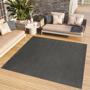 TAPISO Mono Carré Tapis Poil Court Intérieur Design Moderne Gris Foncé Motif Uni Tapis Salon Chambre Adulte Salle à Manger Cuisine Résistant Extérieur Oeko-TEX 120 x 120 cm (TAPISO-FR, neuf)