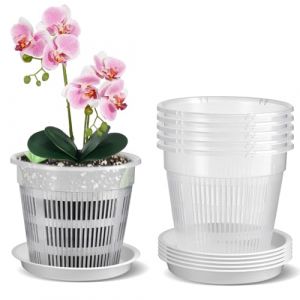 Zyiphor Lot de 5 Pot Transparent Orchid&eacute;e, 14 cm Pot pour Orchid&eacute;es Respirant, Transparent Plante avec Trous de Drainage et Soucoupes pour Culture d'Orchid&eacute;es en Int&eacute;rieur et Ext&eacute;rieur (JINGHEBAIHUO, neuf)